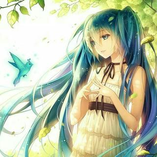 「夏の高呼」元气，轻快，跃动指尖