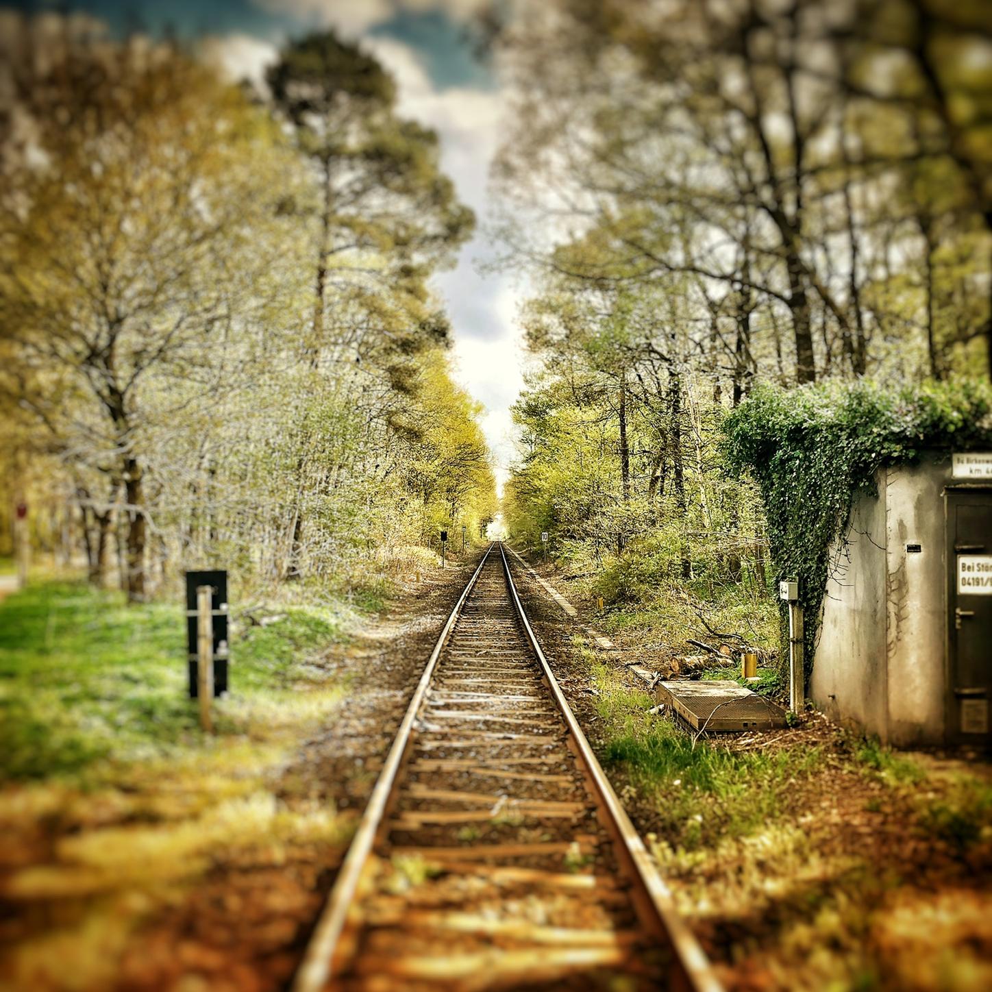 Somewhere In The Middle