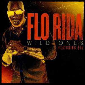 Flo Rida、Sia - Wild Ones （升6半音）