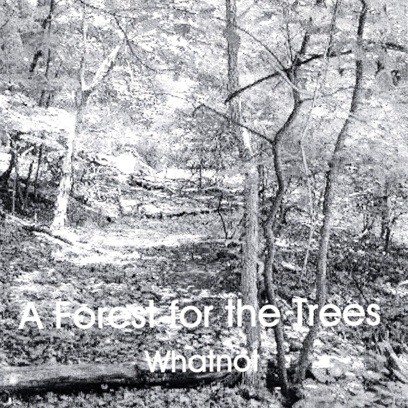 A Forest for the Trees