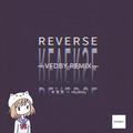 Reverse (Vfdby remix)