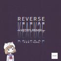 Reverse (Vfdby remix)