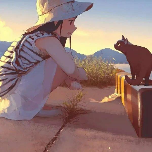 悠闲夏日 · 陪你欢度夏日的时光