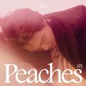 Peaches - The 2nd Mini Album专辑