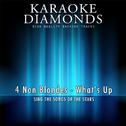 What's Up (Karaoke Version)专辑