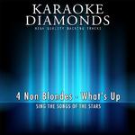 What's Up (Karaoke Version)专辑