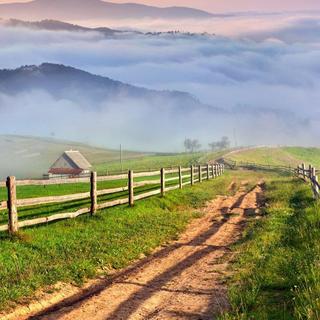 『Country』惬意欢快，田间小路上的兴致