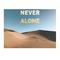 NEVER ALONE专辑