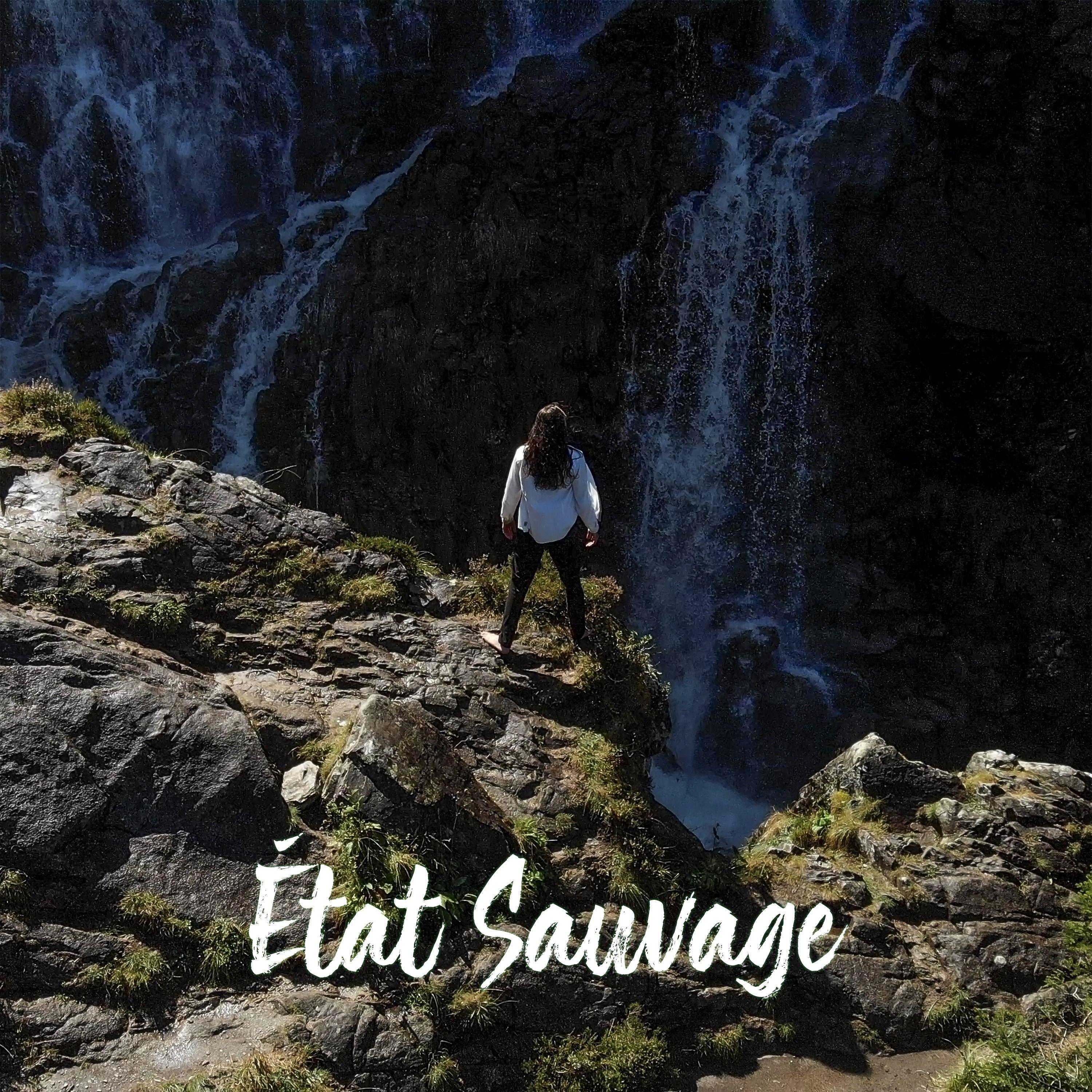 État sauvage