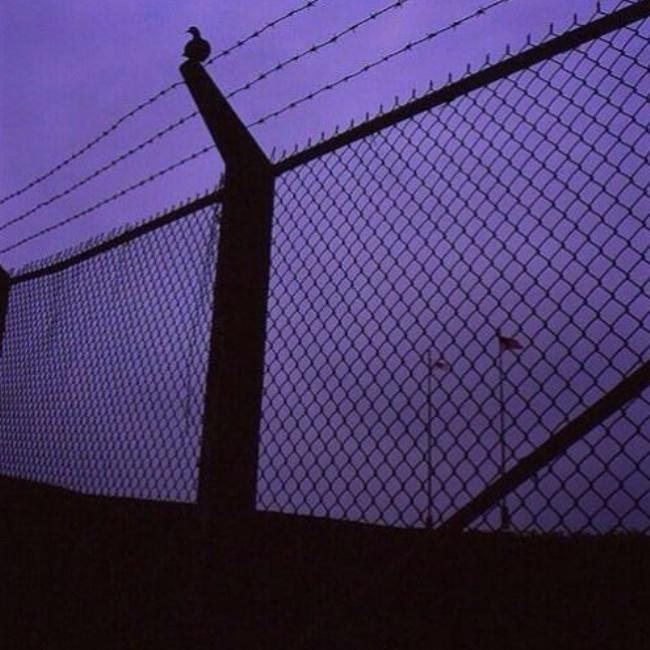Out Of Sight