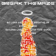 BREAK THE MAZE