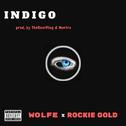 INDIGO (feat. Rockie Gold)专辑