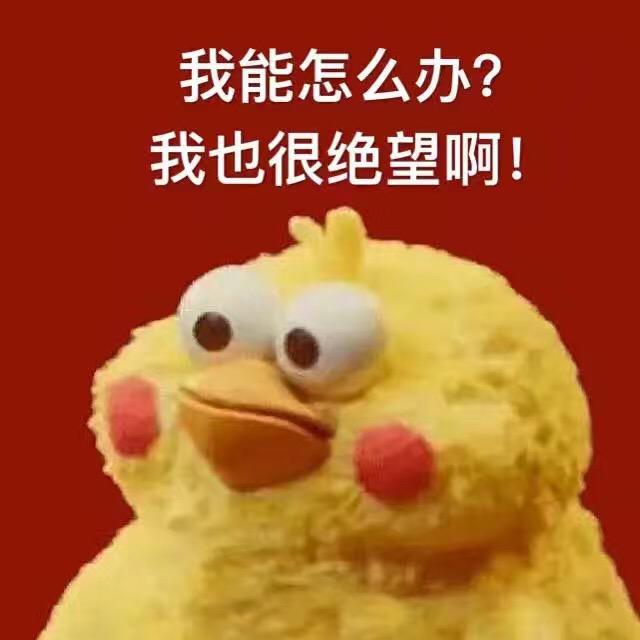 作者专辑