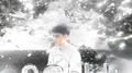 9cold专辑