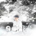 9cold专辑