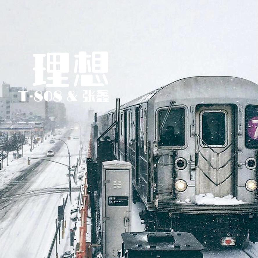 理想