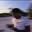 LOOE21