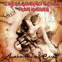 Anatomy of Evil: The String Quartet Tribute to Iron Maiden专辑