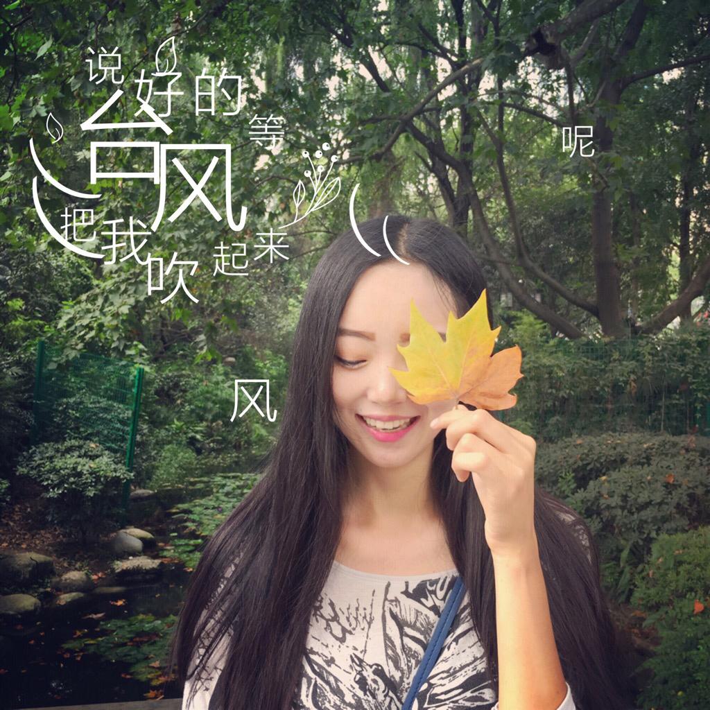 阳光穿过的树林