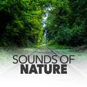 Sounds Of Nature专辑