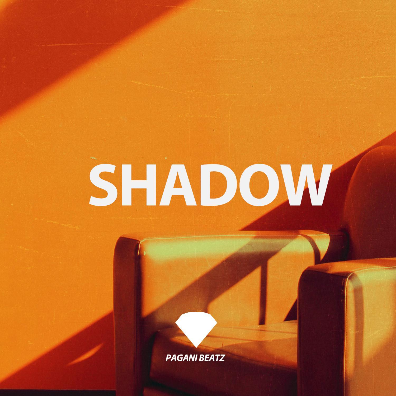 Summer Walker Guitar Soul Type Beat "SHADOW"