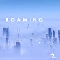 Roaming