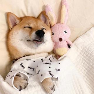 保持好的心态｜每一天都是幸运的