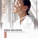 Pure Melodies for Relaxation – Nature Sounds to Calm Down, Piano Relaxation, Stress Relief, Gentle M专辑