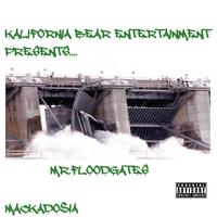 Mr Floodgates