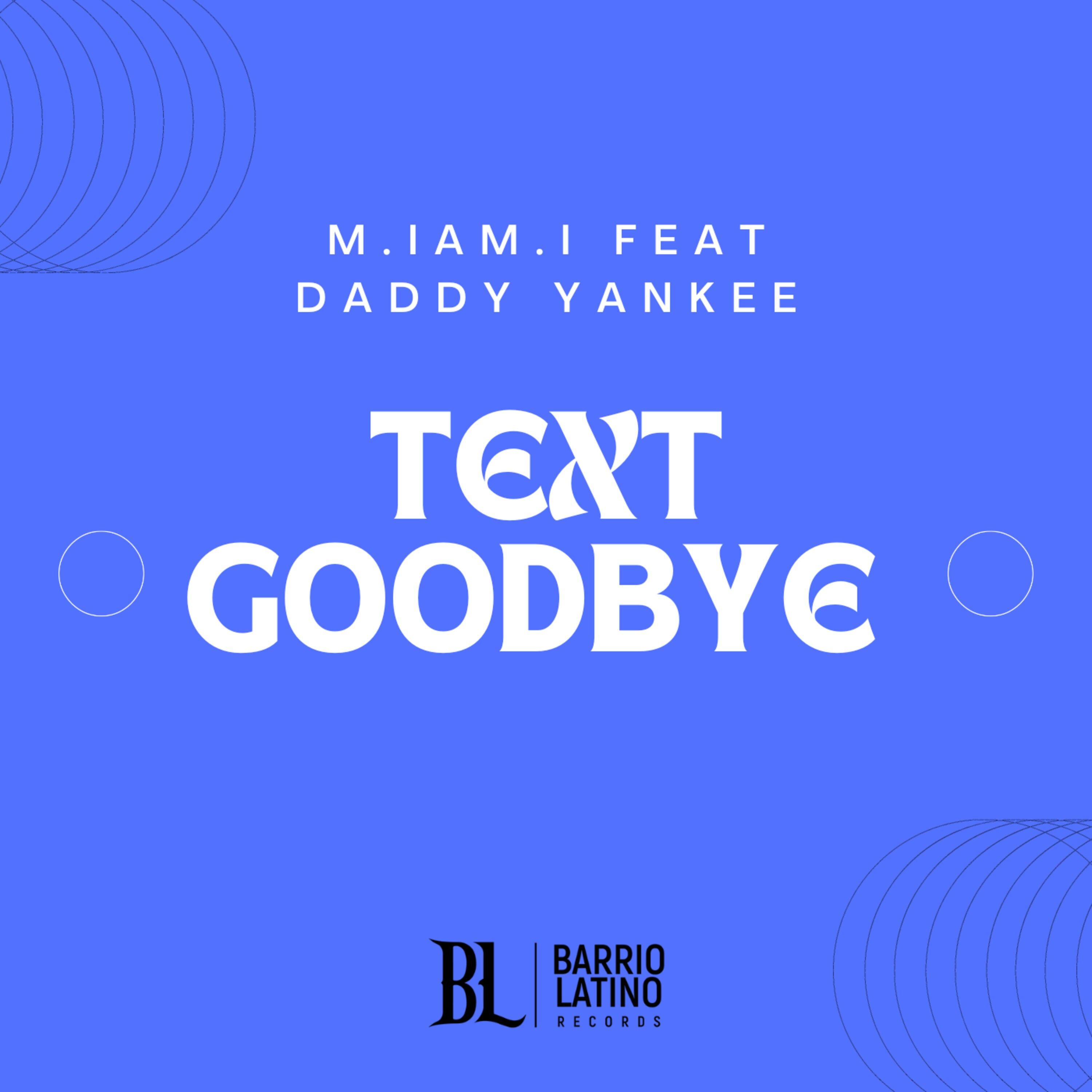 Text Goodbye (No Te Quise Perder) [feat. Daddy Yankee]