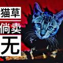 猫草倘卖无专辑