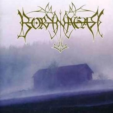 Borknagar