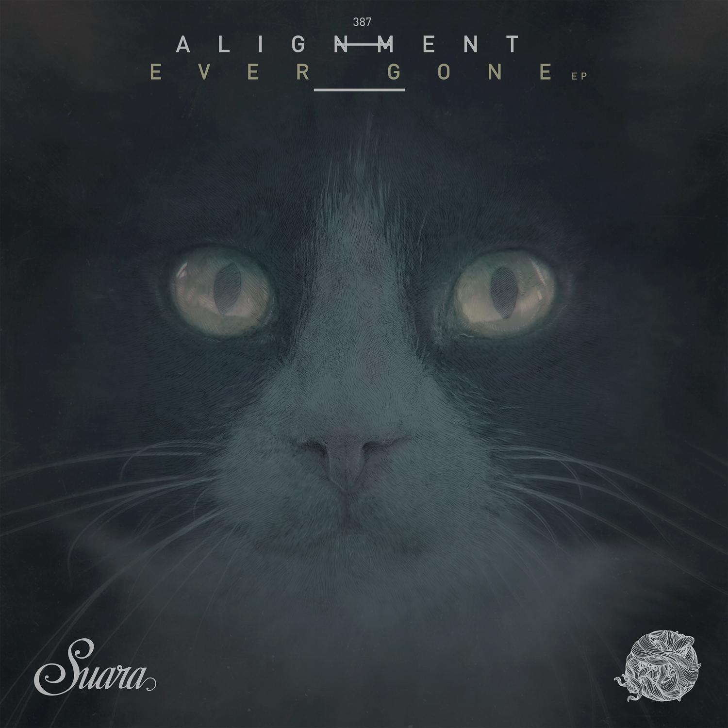 Alignment - Vision
