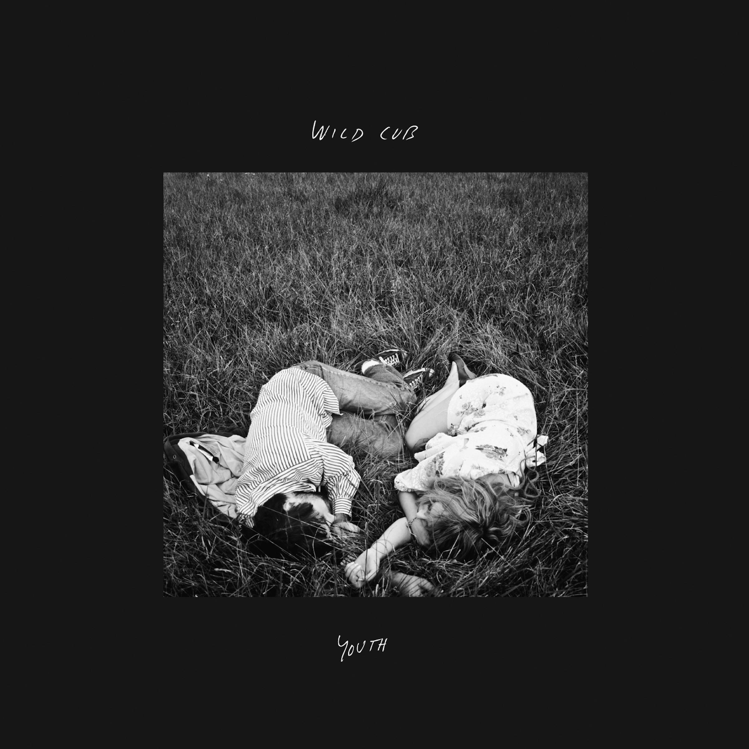 Wild Cub - Lies