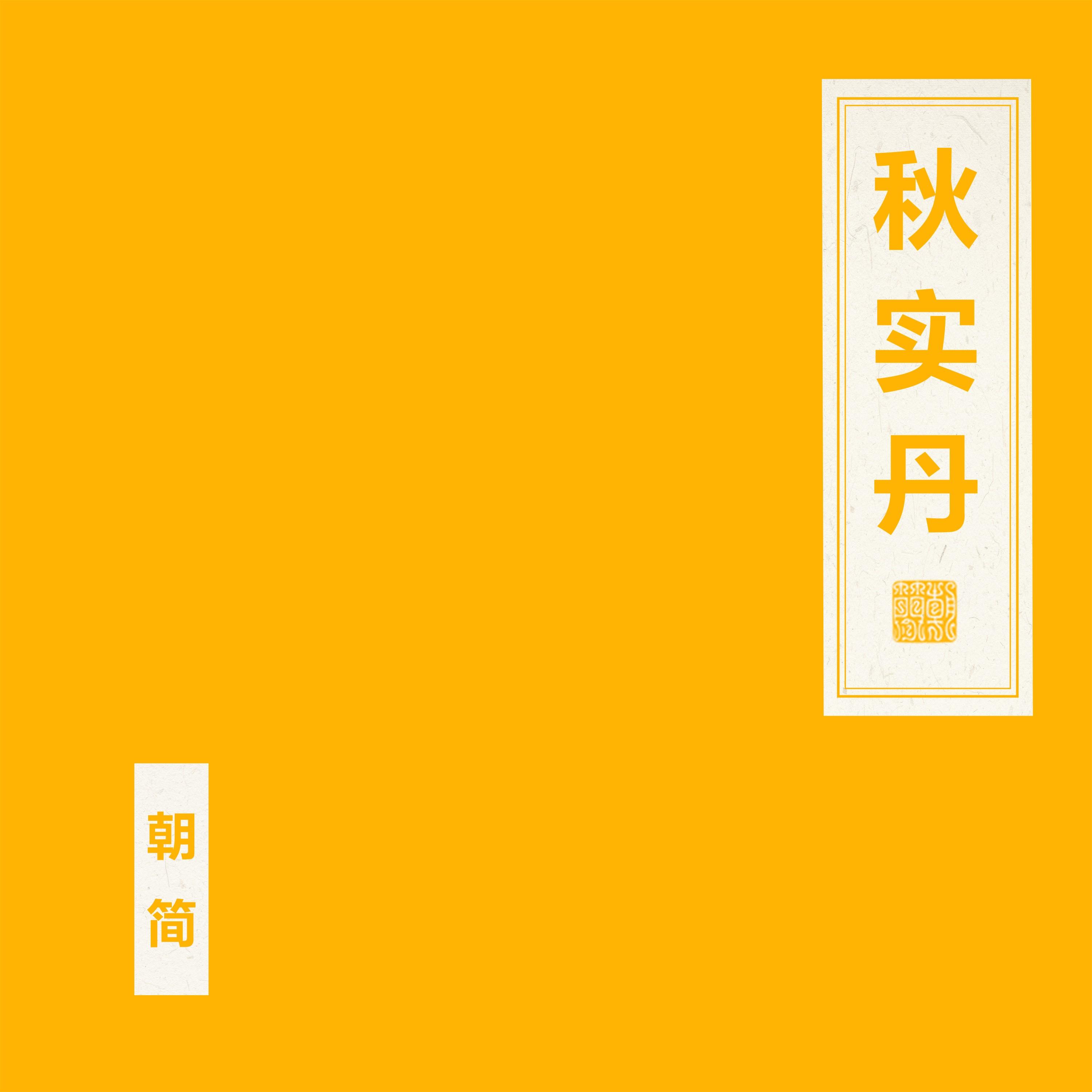 秋实丹 - 窦唯 - 专辑 - 网易云音乐