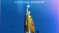 Panorama: Discovery专辑