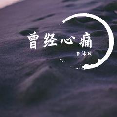 曾经心痛-白沐风