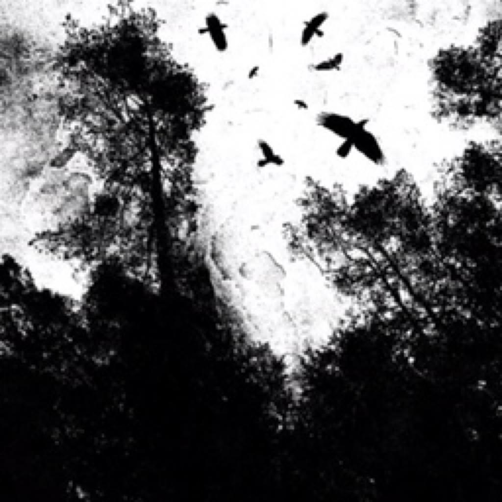 GOTH-After Forever