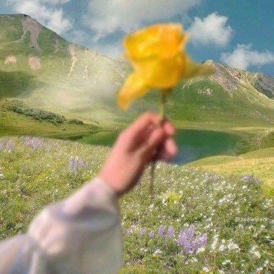 纯音乐 | 等风来，不如追风去