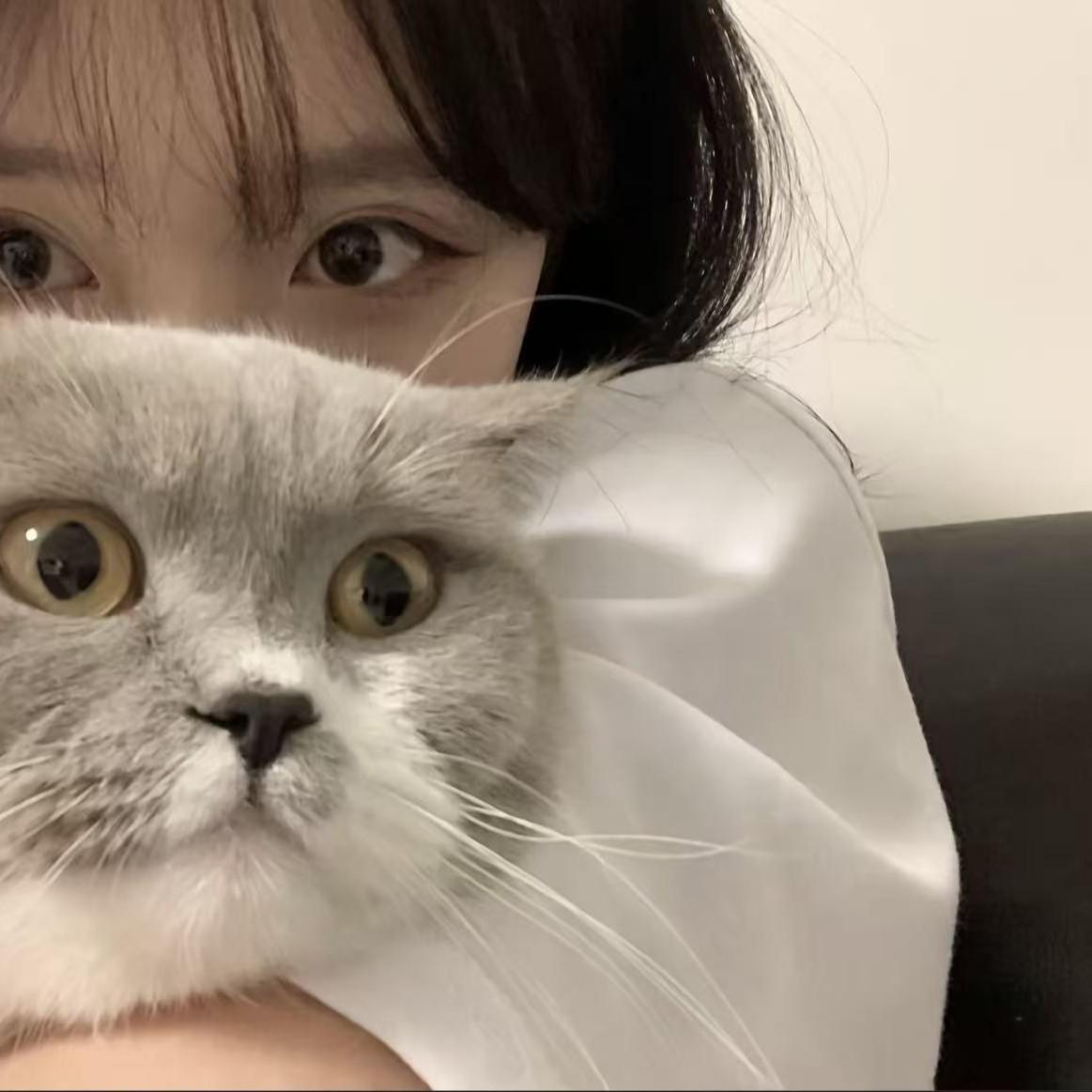 大眠