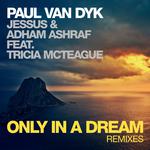 Only In A Dream (Remixes)专辑