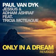 Only In A Dream (Remixes)