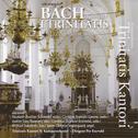 Bach - Kantater I Trinitatis专辑