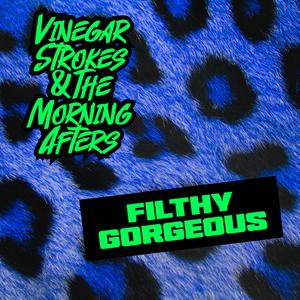 Filthy Gorgeous - Scissor Sisters (PT Instrumental) 无和声伴奏 （降3半音）