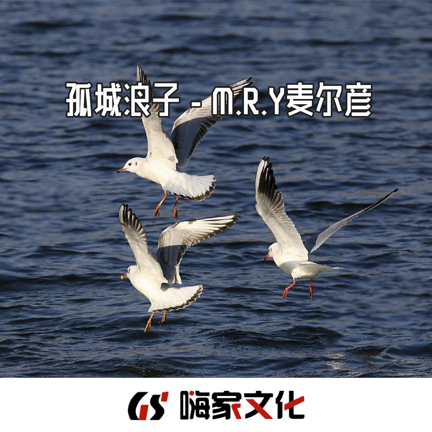 孤城浪子 - 抖音DJ版