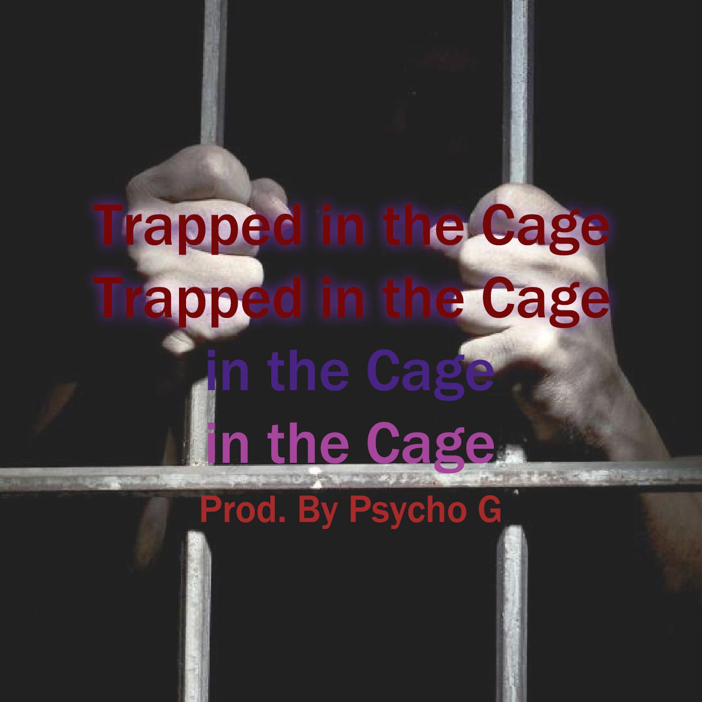 Trapped in the Cage - Prod. By 贱人李Psycho G专辑