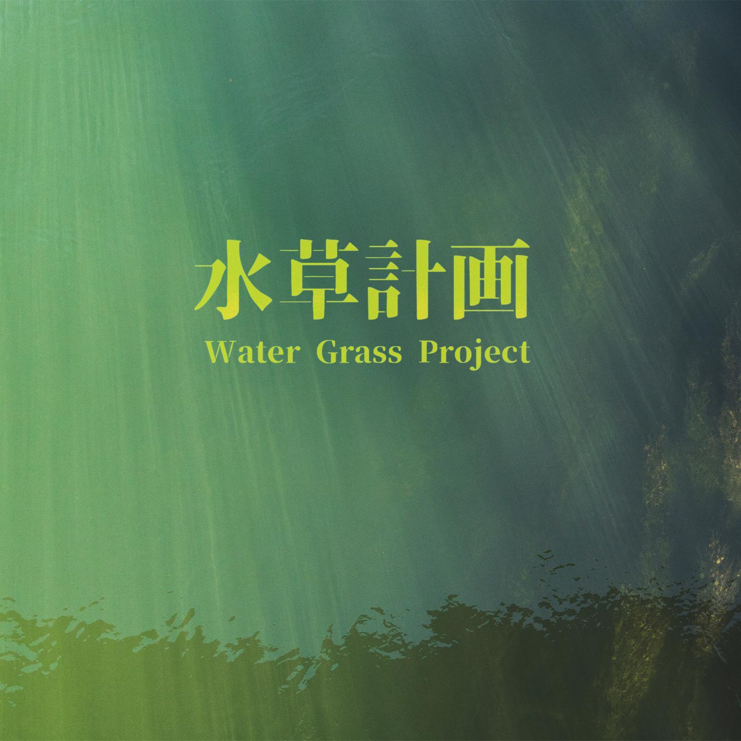 水草