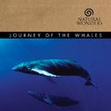 Journey Of The Whales专辑