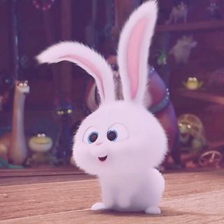 做个温柔可爱的人 好好地过每一天