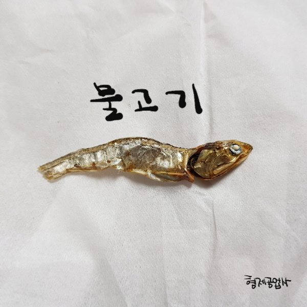 물고기